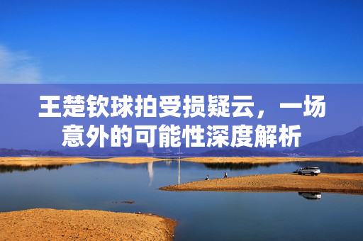 王楚钦球拍受损疑云，一场意外的可能性深度解析