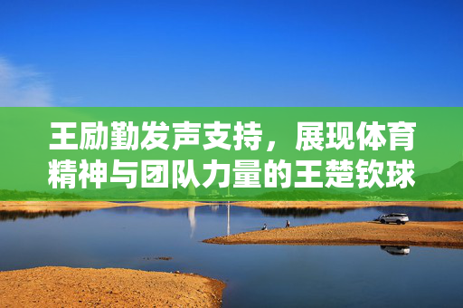 王励勤发声支持，展现体育精神与团队力量的王楚钦球拍损坏事件