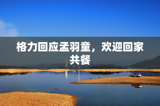 格力回应孟羽童，欢迎回家共餐