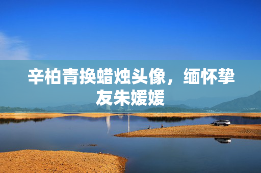 辛柏青换蜡烛头像，缅怀挚友朱媛媛