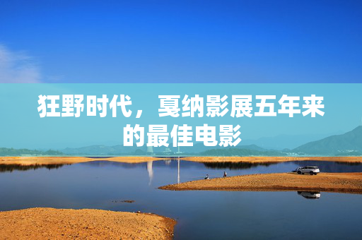 狂野时代，戛纳影展五年来的最佳电影