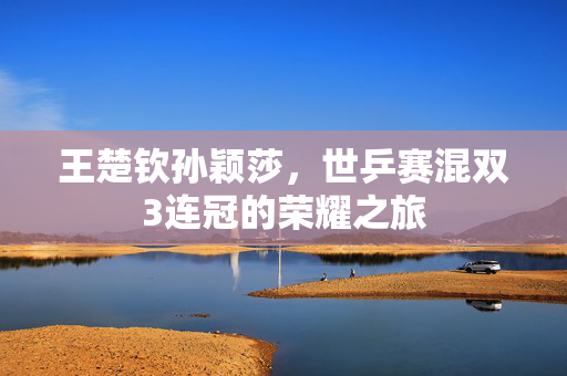 王楚钦孙颖莎，世乒赛混双3连冠的荣耀之旅