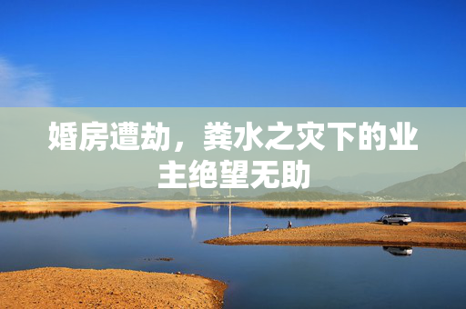 婚房遭劫，粪水之灾下的业主绝望无助