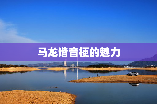 马龙谐音梗的魅力