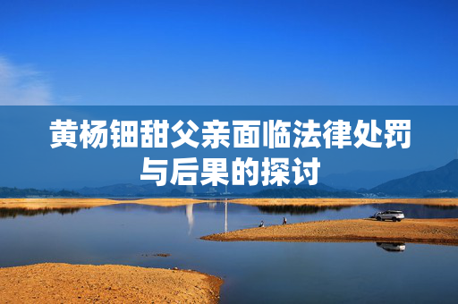 黄杨钿甜父亲面临法律处罚与后果的探讨