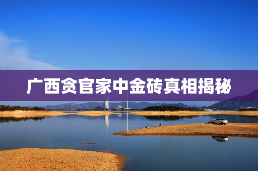 广西贪官家中金砖真相揭秘