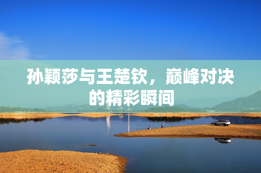 孙颖莎与王楚钦，巅峰对决的精彩瞬间