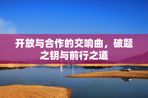 开放与合作的交响曲，破题之钥与前行之道