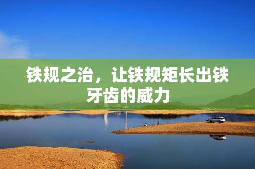 铁规之治，让铁规矩长出铁牙齿的威力