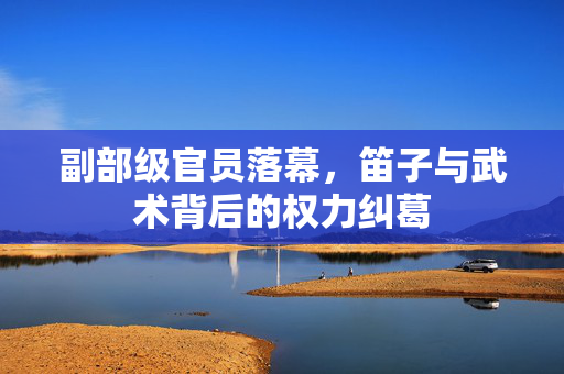 副部级官员落幕，笛子与武术背后的权力纠葛