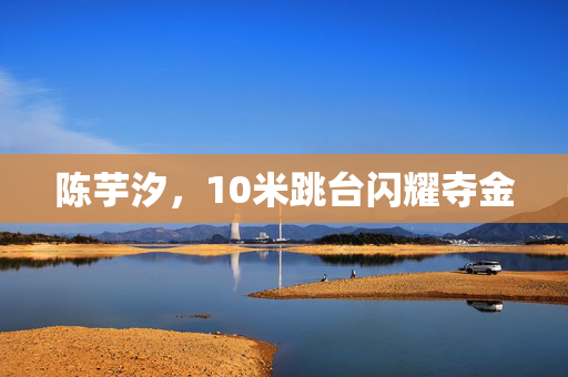 陈芋汐，10米跳台闪耀夺金
