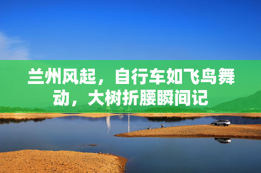 兰州风起，自行车如飞鸟舞动，大树折腰瞬间记