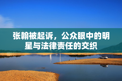 张翰被起诉，公众眼中的明星与法律责任的交织