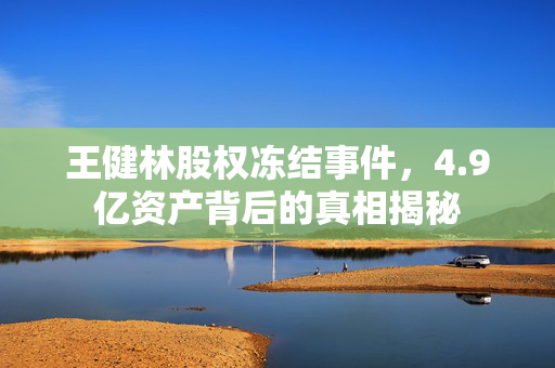 王健林股权冻结事件，4.9亿资产背后的真相揭秘