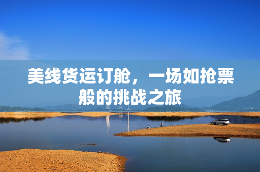 美线货运订舱，一场如抢票般的挑战之旅