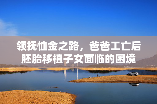 领抚恤金之路，爸爸工亡后胚胎移植子女面临的困境