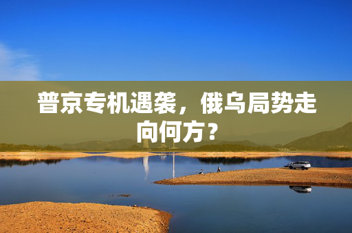 普京专机遇袭，俄乌局势走向何方？