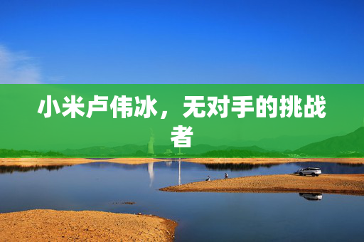 小米卢伟冰，无对手的挑战者