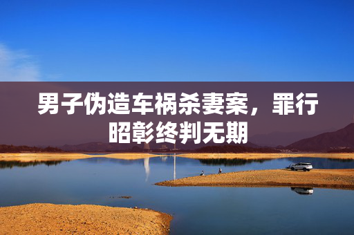 男子伪造车祸杀妻案，罪行昭彰终判无期