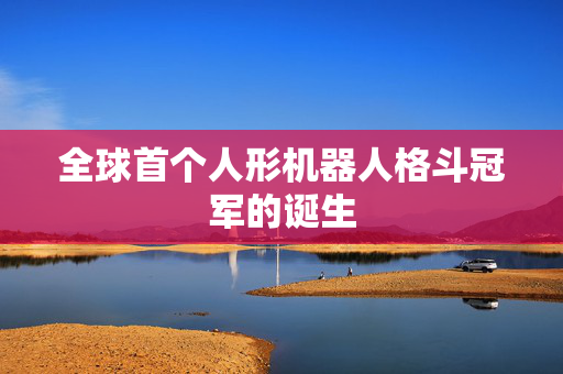 全球首个人形机器人格斗冠军的诞生