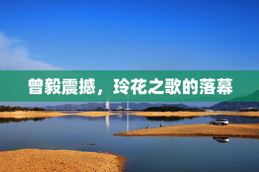曾毅震撼，玲花之歌的落幕