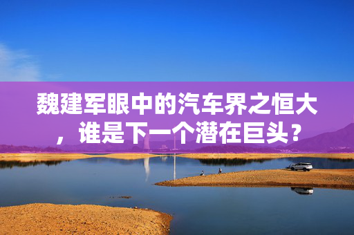 魏建军眼中的汽车界之恒大，谁是下一个潜在巨头？
