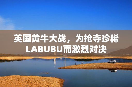 英国黄牛大战，为抢夺珍稀LABUBU而激烈对决