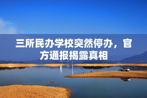 三所民办学校突然停办，官方通报揭露真相