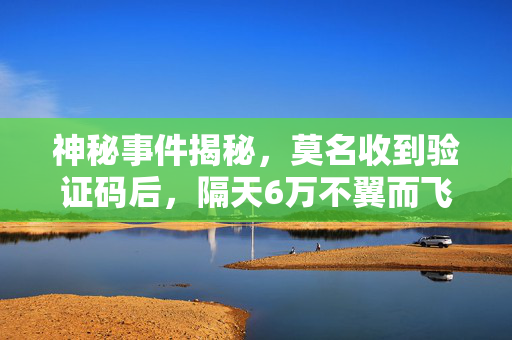 神秘事件揭秘，莫名收到验证码后，隔天6万不翼而飞