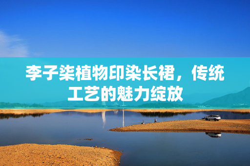 李子柒植物印染长裙，传统工艺的魅力绽放