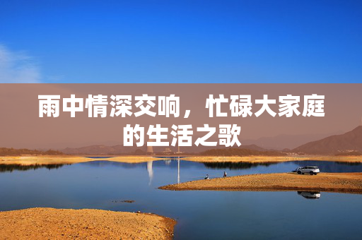 雨中情深交响，忙碌大家庭的生活之歌