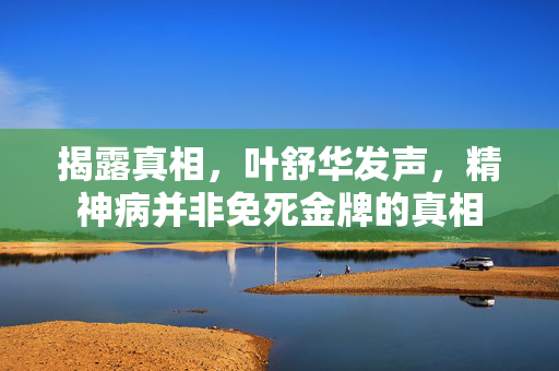 揭露真相，叶舒华发声，精神病并非免死金牌的真相