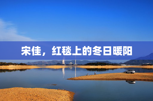 宋佳，红毯上的冬日暖阳