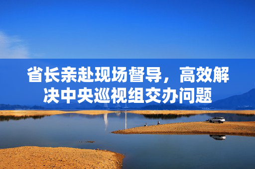 省长亲赴现场督导，高效解决中央巡视组交办问题