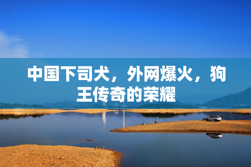 中国下司犬，外网爆火，狗王传奇的荣耀