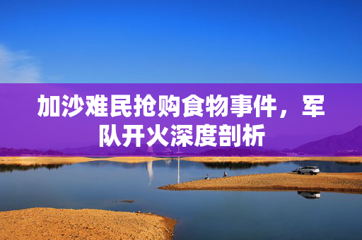 加沙难民抢购食物事件，军队开火深度剖析