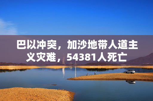 巴以冲突，加沙地带人道主义灾难，54381人死亡