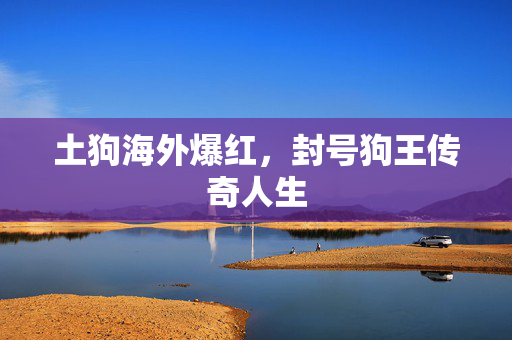 土狗海外爆红，封号狗王传奇人生