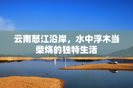 云南怒江沿岸，水中浮木当柴烧的独特生活