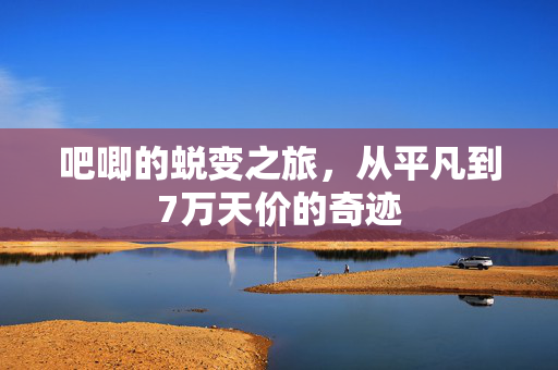吧唧的蜕变之旅，从平凡到7万天价的奇迹
