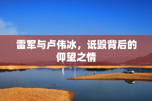 雷军与卢伟冰，诋毁背后的仰望之情