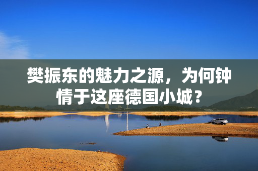 樊振东的魅力之源，为何钟情于这座德国小城？