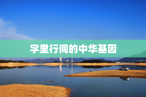字里行间的中华基因