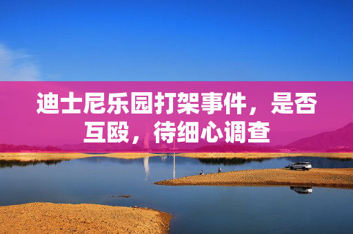 迪士尼乐园打架事件，是否互殴，待细心调查