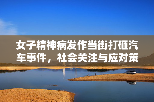 女子精神病发作当街打砸汽车事件，社会关注与应对策略
