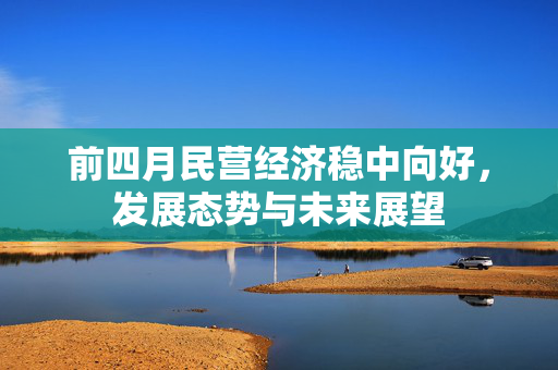 前四月民营经济稳中向好，发展态势与未来展望