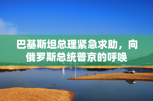 巴基斯坦总理紧急求助，向俄罗斯总统普京的呼唤
