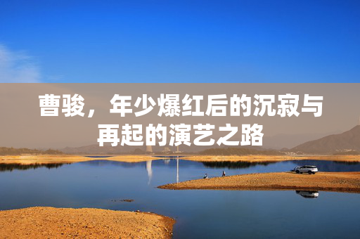 曹骏，年少爆红后的沉寂与再起的演艺之路