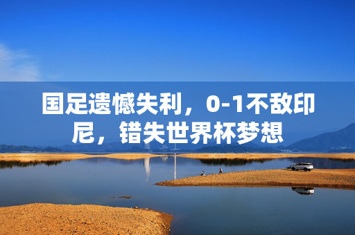 国足遗憾失利，0-1不敌印尼，错失世界杯梦想