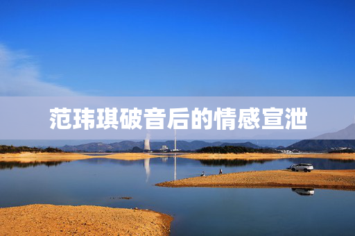 范玮琪破音后的情感宣泄